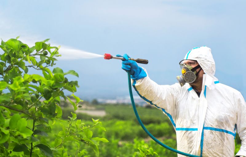 Rat Fumigation Service in Wilmington, NC